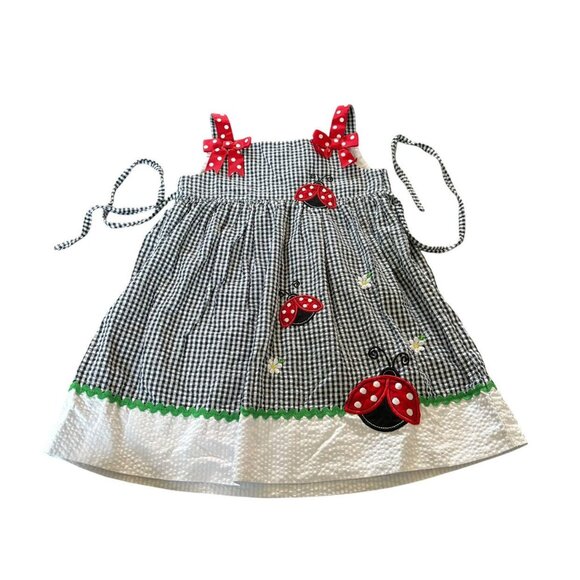 Rare Editions Other - Rare Editions Gingham Ladybug Dress Size 3T